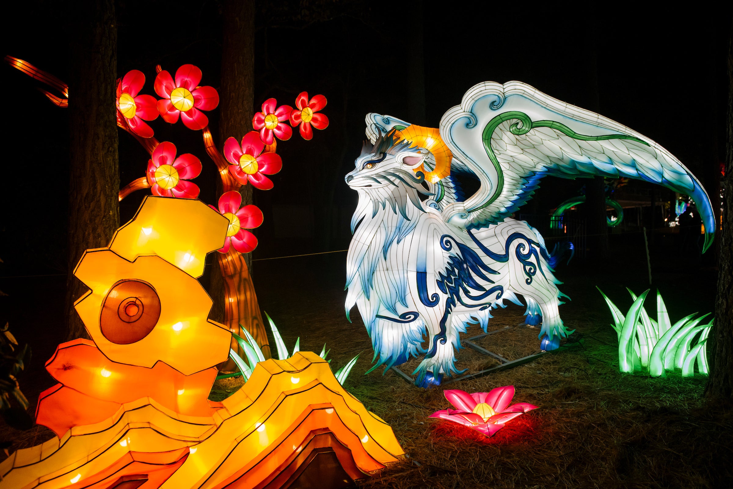 cary chinese lantern festival